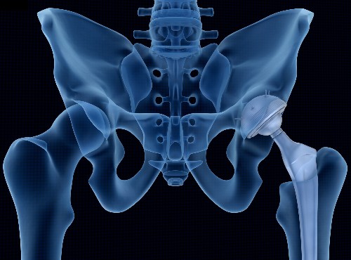 hip